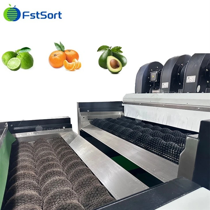Avocado Fruit Washing Drying Waxing Sorting Processing Machine price