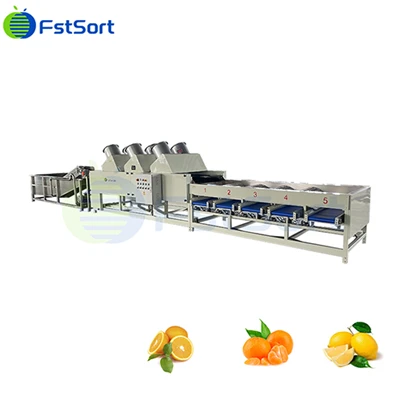 Citrus Air - Linia de produçion de machina de classificaçion pe seccatua